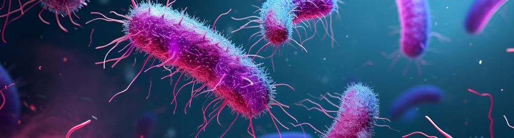 qual o melhor antibiótico para tratar escherichia coli​1.jpg