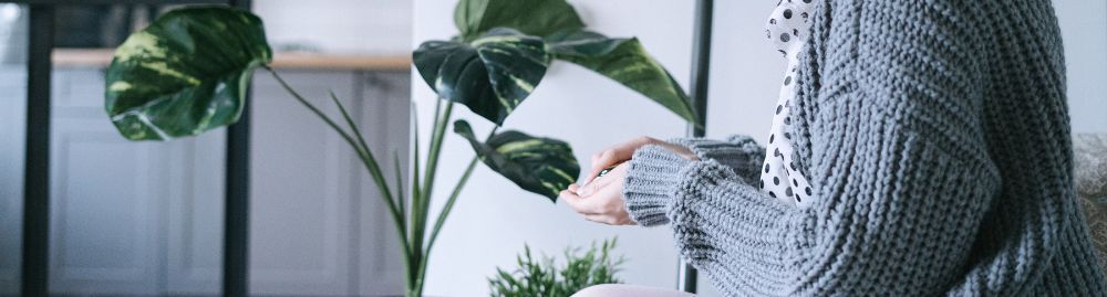 quanto tempo demora para um câncer se espalhar1.jpg