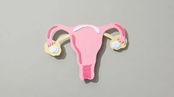 Fase lútea: quantos dias dura e o que revela sobre a fertilidade feminina