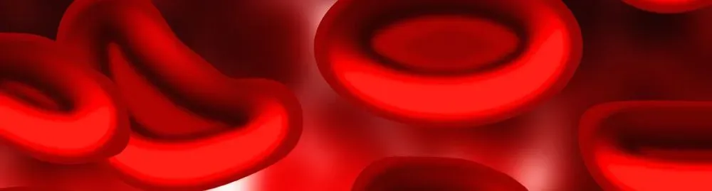 quem tem anemia falciforme pode ter filhos1.webp