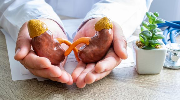 Quem tem insuficiência renal pode tomar creatina? Veja alguns estudos