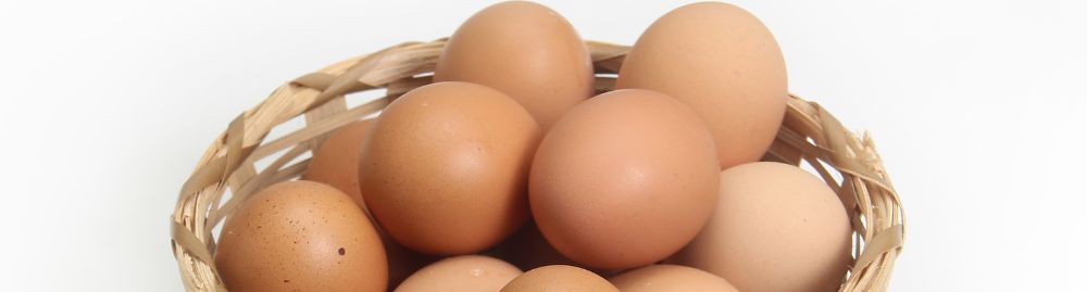 quem tem intolerância à lactose pode comer ovo1.jpg