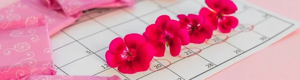 sintomas da amenorreia1.webp