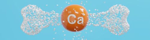 Cálcio para osteoporose: como usar na prevenção e tratamento