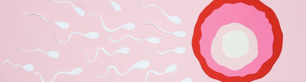 teste de fertilidade masculino1.jpg