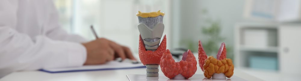 tireoidite de hashimoto é hereditária1.jpg