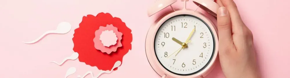 tive relação 1 dia antes da ovulação posso engravidar​1.webp