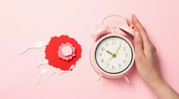 Tive relação 1 dia antes da ovulação: posso engravidar? Como confirmar?