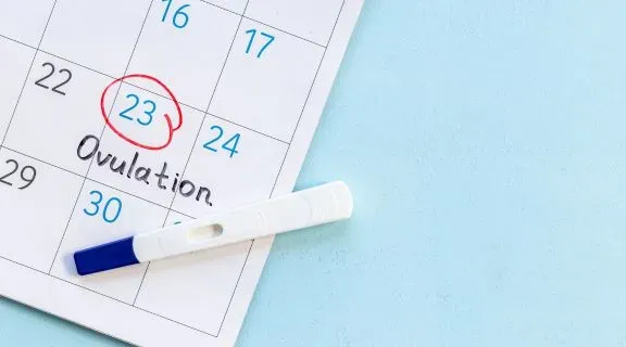 Tive relação no dia da ovulação posso estar grávida​: entenda as chances