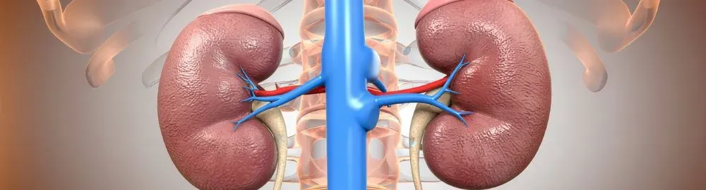 tratamentos para doença renal crônica​1.webp